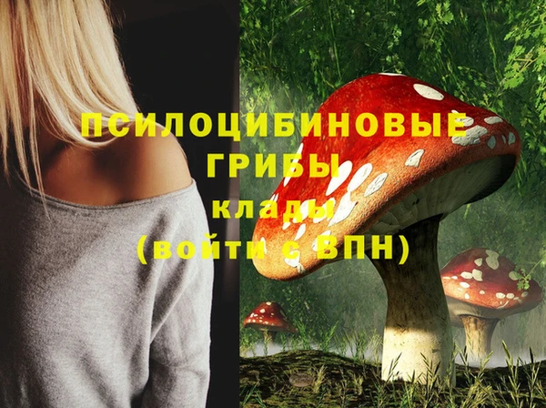 шишки Армянск