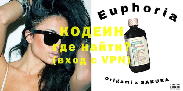 индика Арсеньев