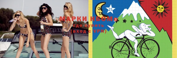 шишки Армянск