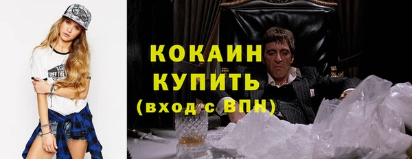 шишки Армянск