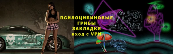 шишки Армянск