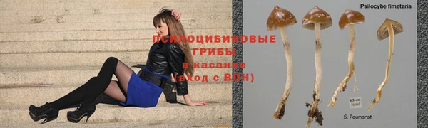 круглые Аркадак