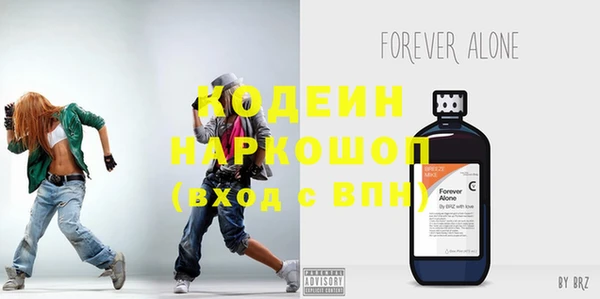 индика Арсеньев