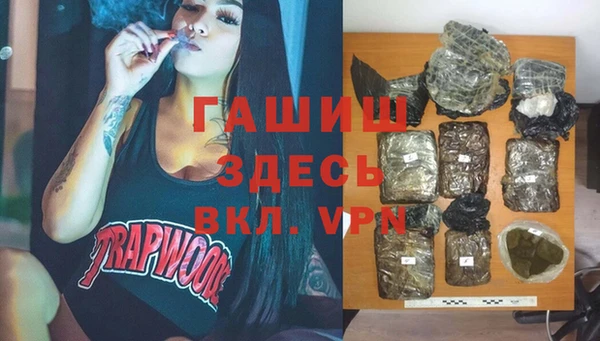 индика Арсеньев