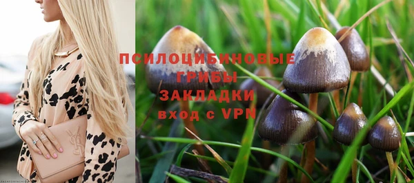 индика Арсеньев