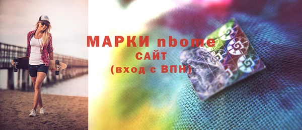индика Арсеньев