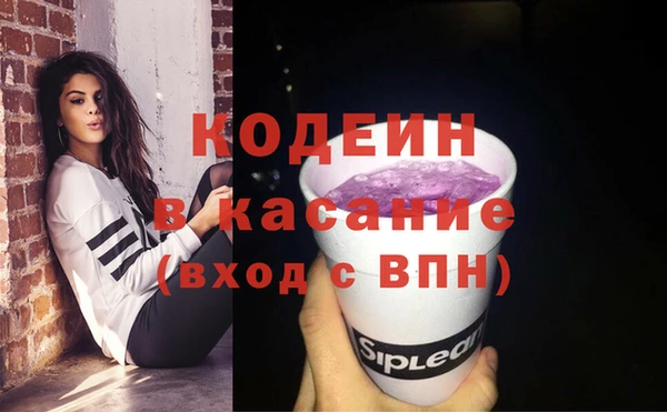индика Арсеньев