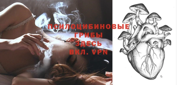 круглые Аркадак