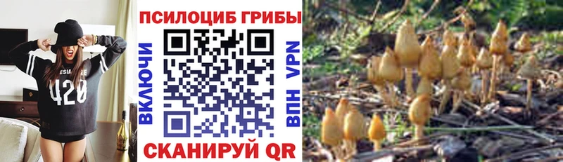 где купить наркоту  Павлово  mega ТОР  нарко площадка наркотические препараты  Псилоцибиновые грибы ЛСД 