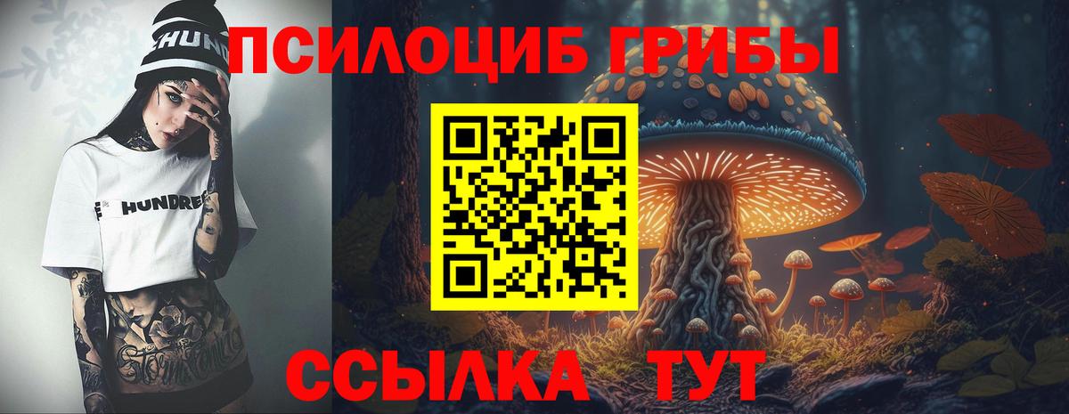 закладки  Галлюциногенные грибы прущие грибы  Вход с VPN  Павлово 
